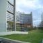DSC00558.JPG